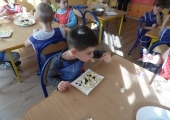 SAM_4532