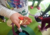 SAM_4982